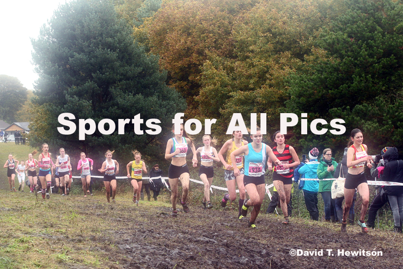 Girls under-15s, National Cross Country Relay Champs., Berry Hill Park, Mansfield.  Photo: David T. Hewitson/Sports for All Pics